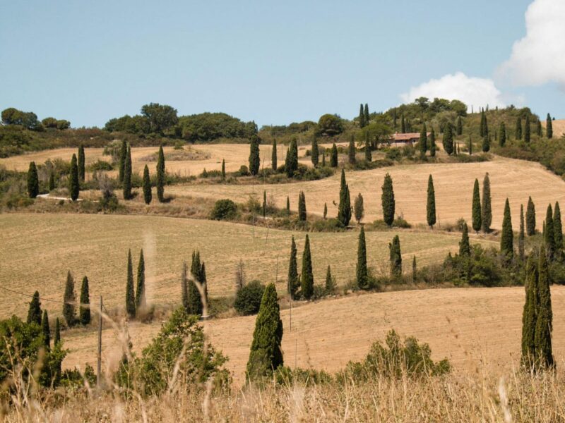 4.-Valdorcia